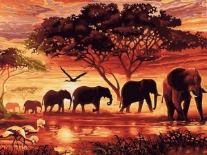 Diamond painting olifanten safari