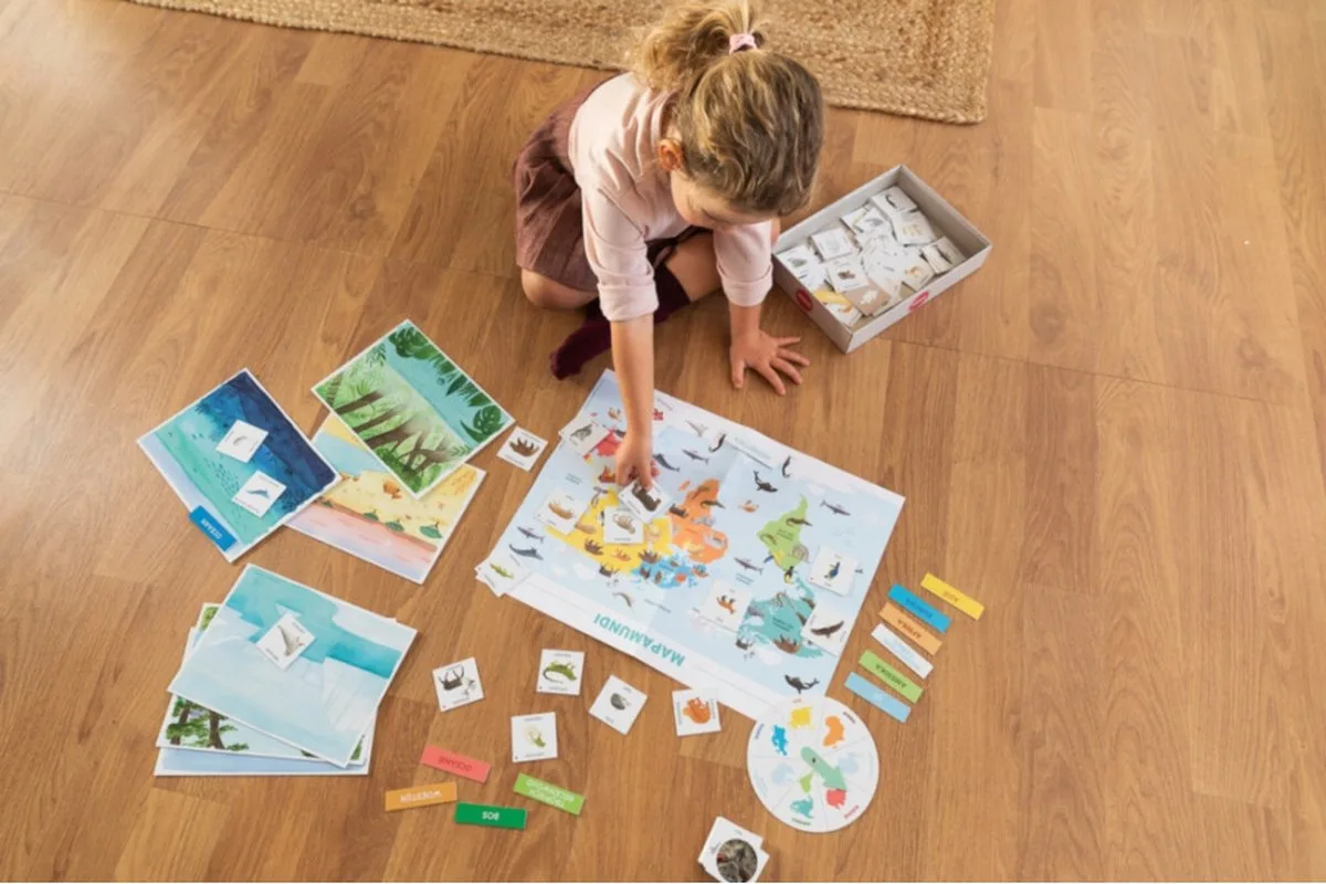 Ik leer (Ontdekken) – Educatief speelgoed voor peuters van Jumbo