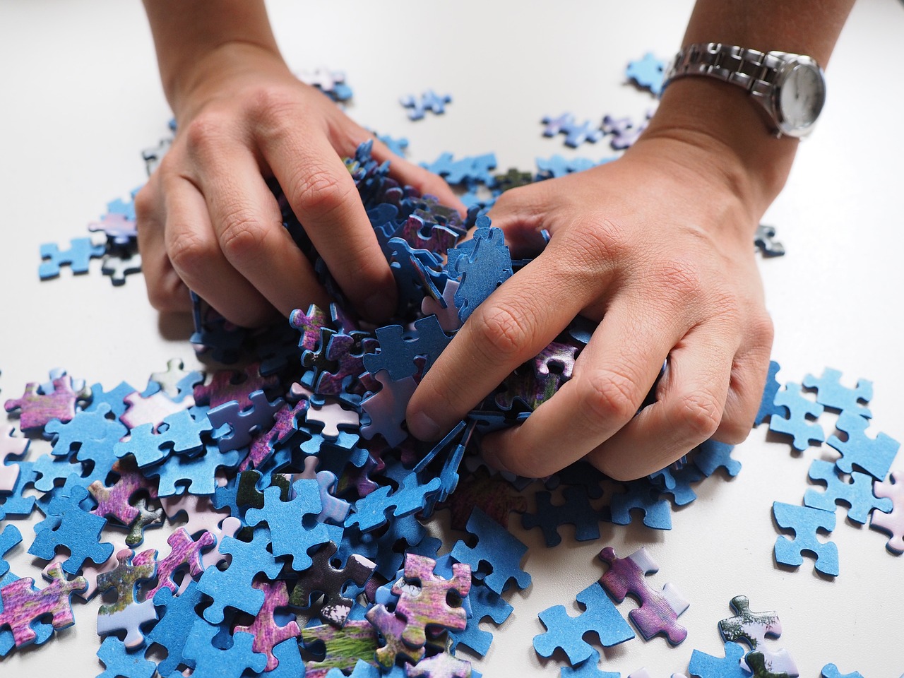 Wasgij Original puzzels