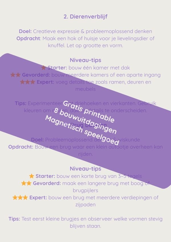 Gratis printable 8 bouwuitdagingen voor spelend leren met magnetisch speelgoed