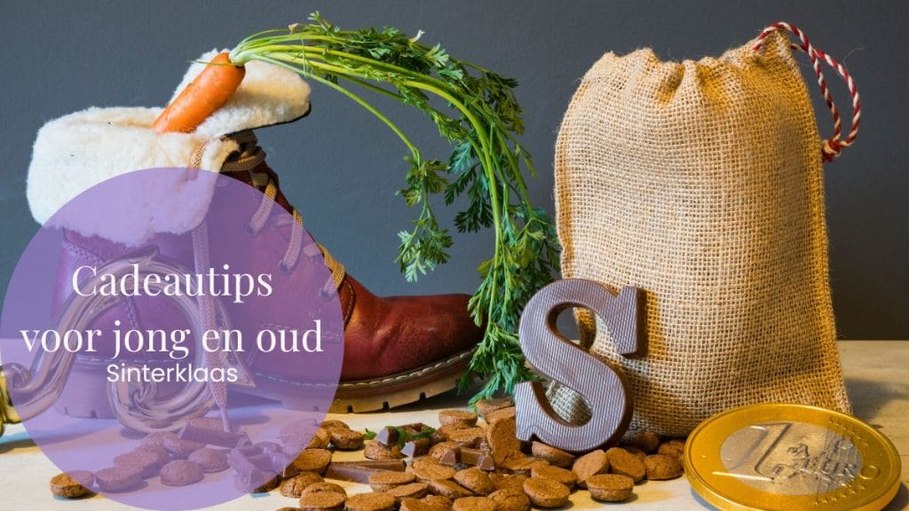 Cadeautips voor jong en oud - Sinterklaas - Spelenspeelgoed.nl 